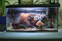 Killikus&reg; Fotographie